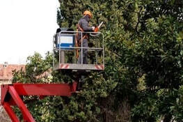trimming trees from a bucket truck in Florissant, MO.